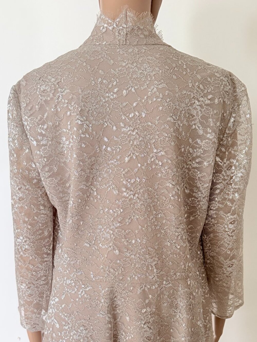 Alex Evenings Lace Champagne Taupe Formal Dressy Top Sparkly Sz Large - Picture 6 of 8